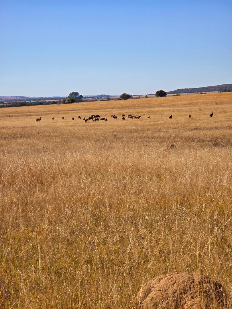 Commercial Property for Sale in Klerksdorp Rural North West